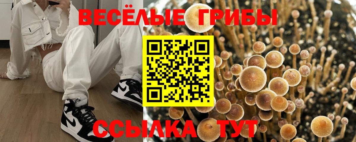 Смоленск  Галлюциногенные грибы Psilocybine cubensis  Вход с VPN 